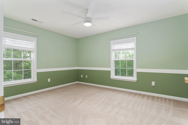 spare room with plenty of natural light, carpet, and baseboards