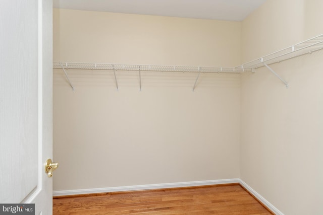 2200 Exeter Ct, Fallston, MD 21047 - spacious closet featuring light wood-type flooring