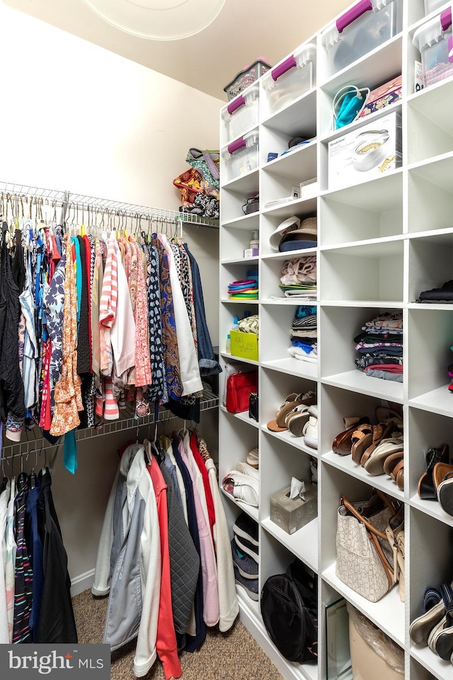 31766 Chablis Ln Unit 76, Lewes, DE 19958 - spacious closet with carpet