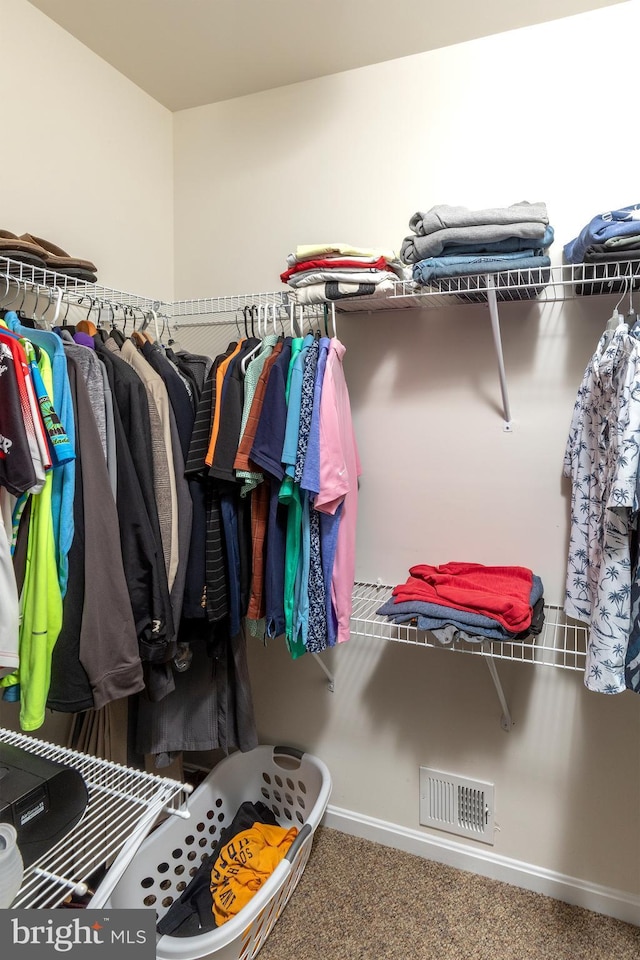 31766 Chablis Ln Unit 76, Lewes, DE 19958 - walk in closet with carpet floors