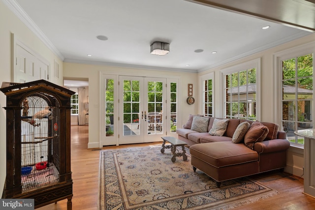 sunroom / solarium with french doors
