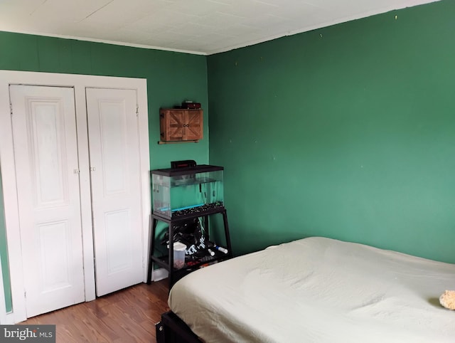 bedroom featuring wood finished floors