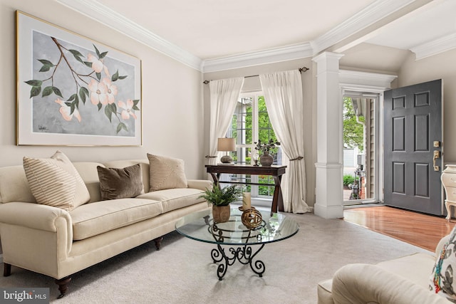 living area with decorative columns and crown molding