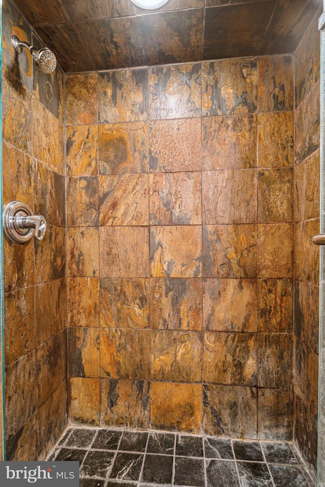 bathroom view of tiled shower