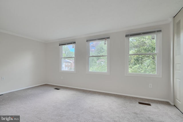 8838 Cross Country Pl, Gaithersburg, MD 20879 - carpeted spare room with plenty of natural light, ornamental molding, and baseboards