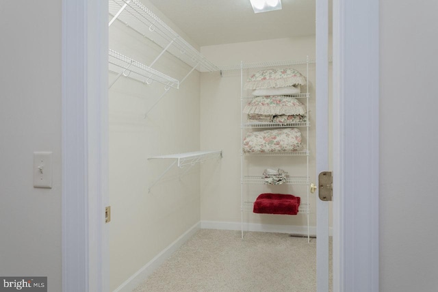 2799 Greenway Ct, Rockingham, VA 22802 - spacious closet with carpet floors