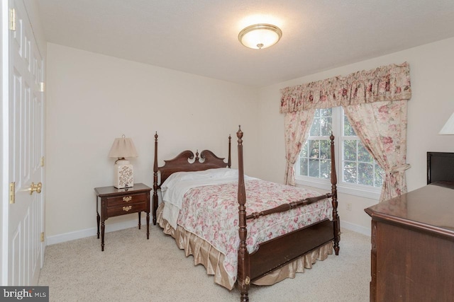 2799 Greenway Ct, Rockingham, VA 22802 - bedroom featuring light carpet and baseboards