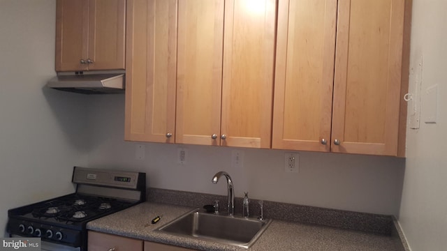 801 N Pitt St N Unit 419, Alexandria, VA 22314 - kitchen featuring gas range, under cabinet range hood, and a sink