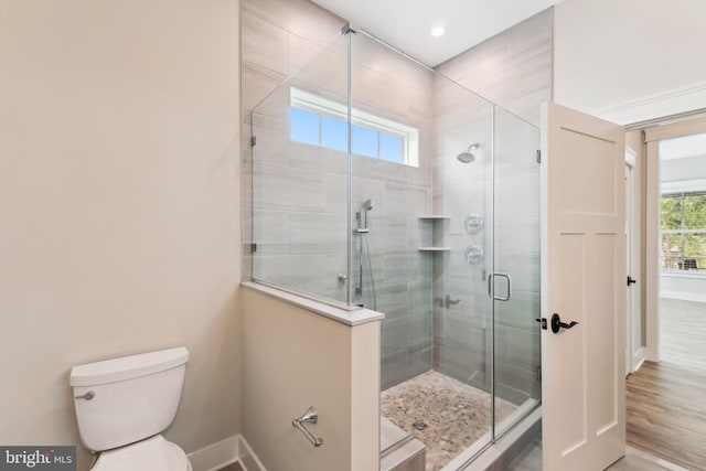 full bathroom with plenty of natural light, baseboards, a stall shower, and toilet