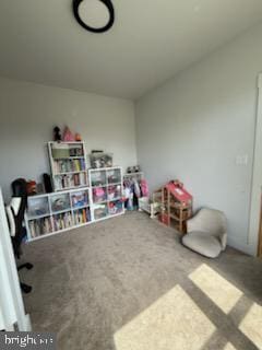 6010 Martinsburg Rd, Berkeley Springs, WV 25411 - playroom with carpet flooring