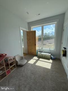 6010 Martinsburg Rd, Berkeley Springs, WV 25411 - bedroom with carpet flooring