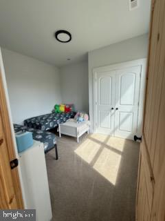 6010 Martinsburg Rd, Berkeley Springs, WV 25411 - bedroom with carpet floors