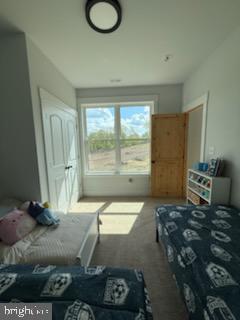 6010 Martinsburg Rd, Berkeley Springs, WV 25411 - view of carpeted bedroom