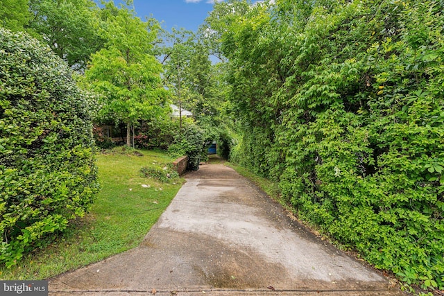 view of property's community featuring concrete driveway and a yard