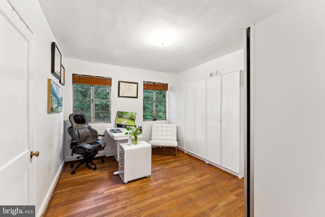 office area featuring wood finished floors and baseboards