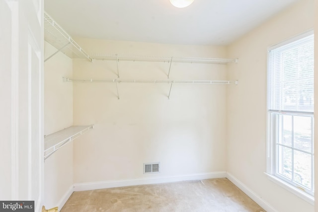 2 Larch Way, Princeton, NJ 08540 - spacious closet with light carpet