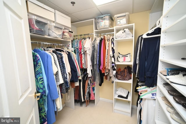3201 Centennial Sta, Warminster, PA 18974 - spacious closet with carpet floors and a drop ceiling