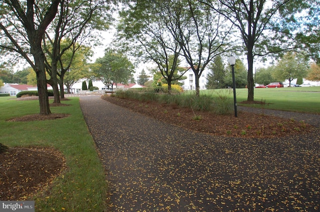 3201 Centennial Sta, Warminster, PA 18974 - view of road with street lighting