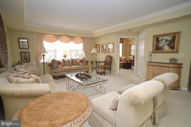 3201 Centennial Sta, Warminster, PA 18974 - living area with carpet, crown molding, and baseboards
