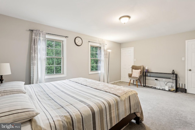 41 Fair Acres Ct, Princeton, NJ 08540 - bedroom with carpet and baseboards
