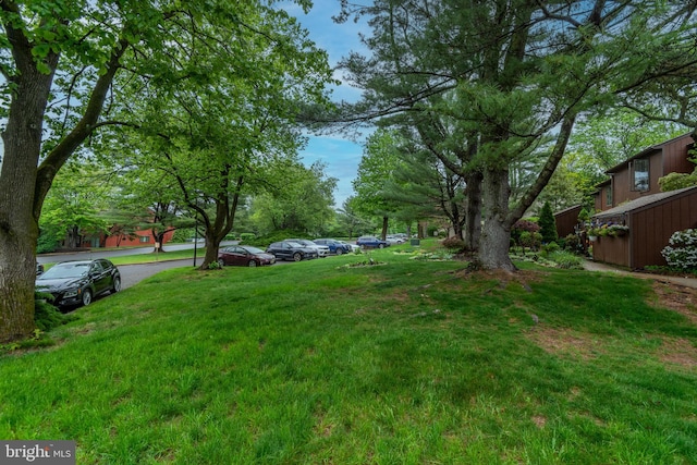23 Eden Roc, New Hope, PA 18938 - view of grassy yard