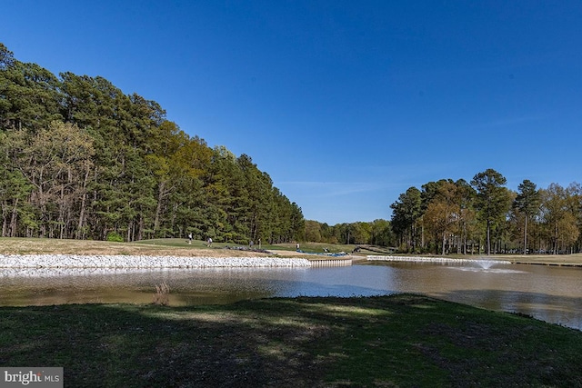 14535 Honeysuckle, Issue, MD 20645 - water view with a forest