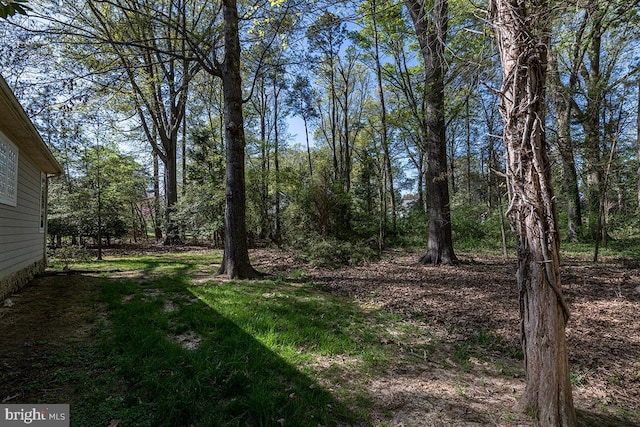 14535 Honeysuckle, Issue, MD 20645 - view of yard