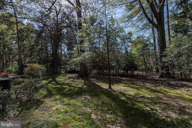 14535 Honeysuckle, Issue, MD 20645 - view of green lawn