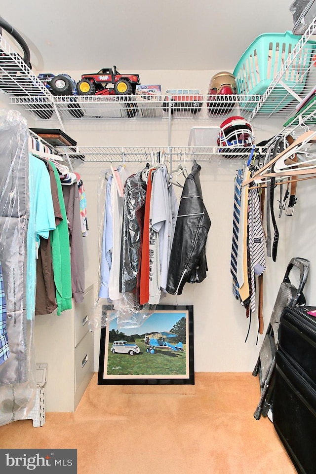 walk in closet featuring carpet