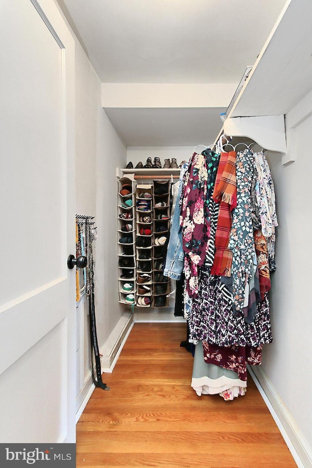 walk in closet featuring wood finished floors