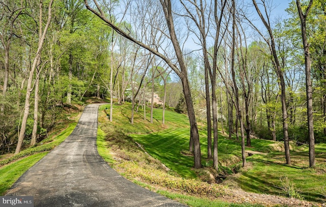7 Evergreen Ct, West Chester, PA 19382