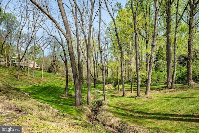 7 Evergreen Ct, West Chester, PA 19382
