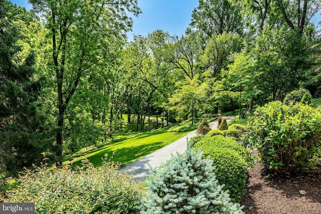7 Evergreen Ct, West Chester, PA 19382