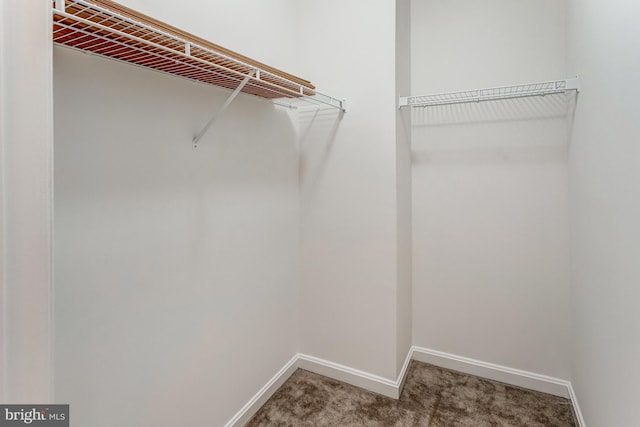 16453 Sparkling Brook Loop, Dumfries, VA 22025 - spacious closet with carpet