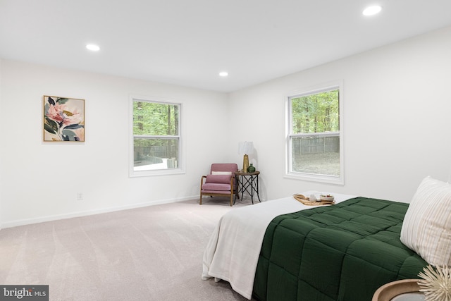 194 Black Cub Run Ln, Harpers Ferry, WV 25425 - bedroom featuring multiple windows, light colored carpet, recessed lighting, and baseboards