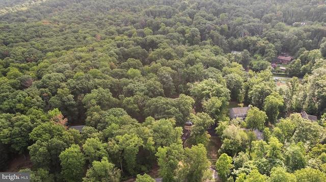 194 Black Cub Run Ln, Harpers Ferry, WV 25425 - aerial view of a forest