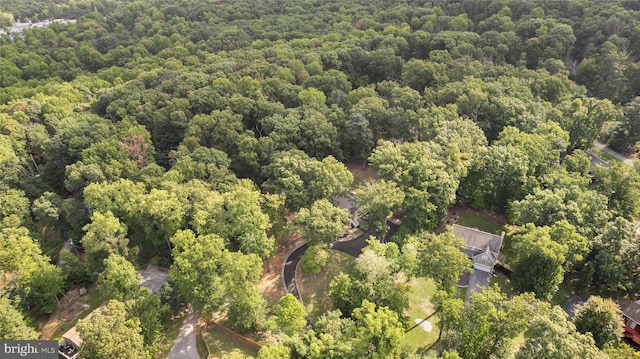 194 Black Cub Run Ln, Harpers Ferry, WV 25425 - bird's eye view of a forest