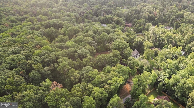 194 Black Cub Run Ln, Harpers Ferry, WV 25425 - bird's eye view of a forest