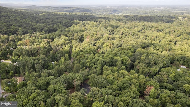 194 Black Cub Run Ln, Harpers Ferry, WV 25425 - aerial overview of property's location with a forest
