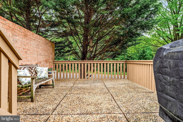 352 Paoli Woods Dr, Paoli, PA 19301 - view of patio / terrace