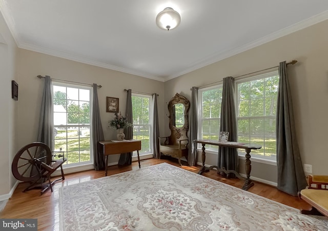 13605 Sugar Mill Ct, Waldorf, MD 20601 - office space featuring ornamental molding, light wood-style floors, and baseboards
