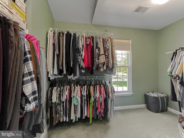 13605 Sugar Mill Ct, Waldorf, MD 20601 - spacious closet with carpet flooring