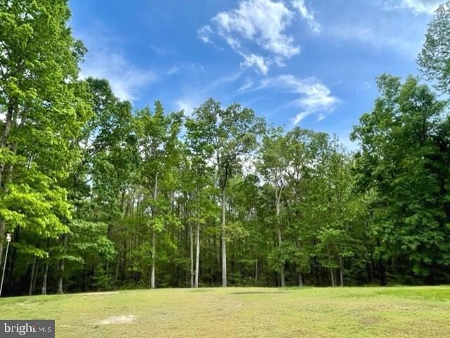13605 Sugar Mill Ct, Waldorf, MD 20601 - view of grassy yard featuring a wooded view