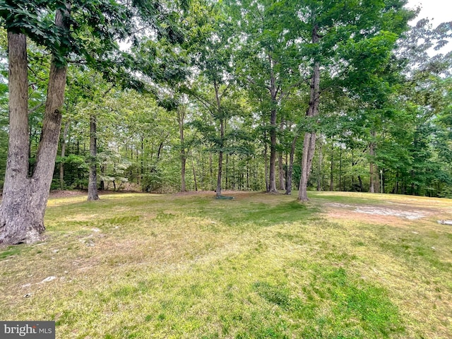 13605 Sugar Mill Ct, Waldorf, MD 20601 - view of green lawn
