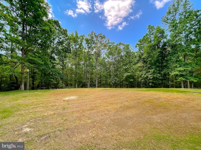 13605 Sugar Mill Ct, Waldorf, MD 20601 - view of grassy yard featuring a view of trees