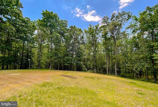 13605 Sugar Mill Ct, Waldorf, MD 20601 - view of green lawn