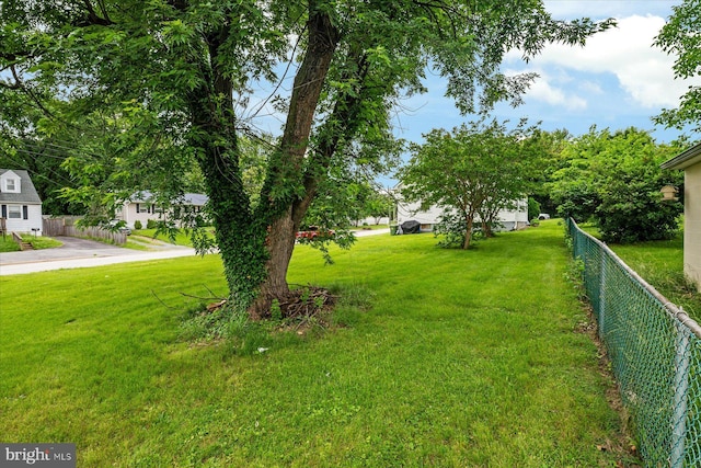 216 Charles St, Baltimore, MD 21225 - view of yard