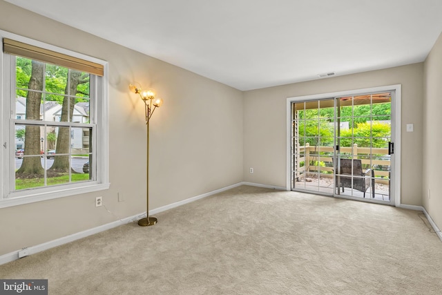 2224 Springwood Dr Unit 102A, Reston, VA 20191 - spare room with carpet flooring, plenty of natural light, and baseboards
