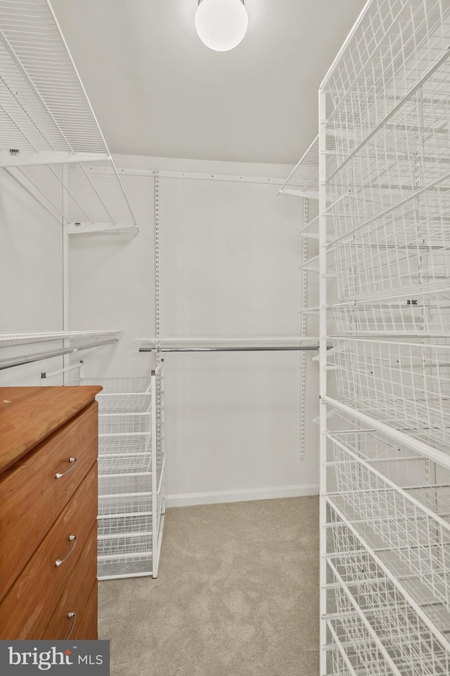 2224 Springwood Dr Unit 102A, Reston, VA 20191 - walk in closet with carpet