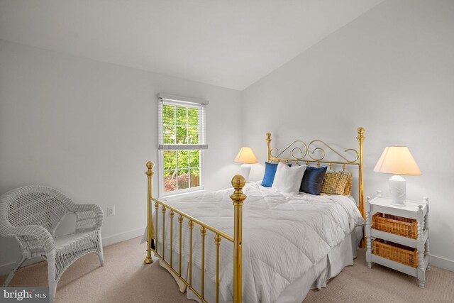 10938 Rocky Mount Way, Silver Spring, MD 20902 - carpeted bedroom with baseboards and lofted ceiling